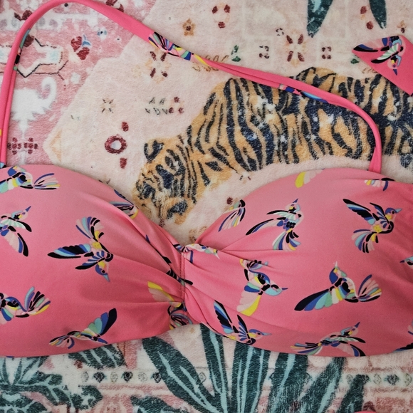 Pink Hummingbird Print Bikini - Picture 5 of 10